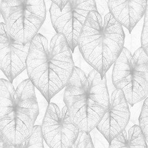2936 Papel Pintado Amazonia Ii 2026 Moderno Clasico