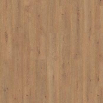 567b Roble Bern Purefloor8 4v