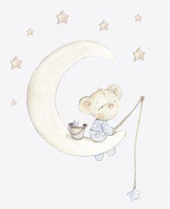 SDC VIN BEAR 001 ON THE MOON