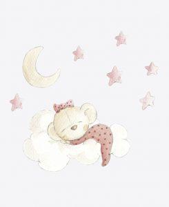 SDC VIN BEAR 002 IN THE CLOUD