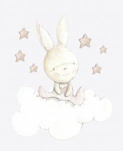 SDC VIN RABBIT 001 PINK DREAMS