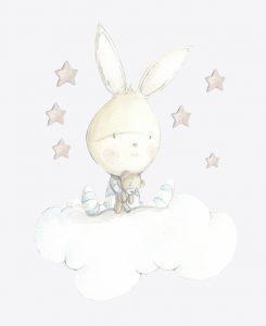 SDC VIN RABBIT 002 Blue Dreams