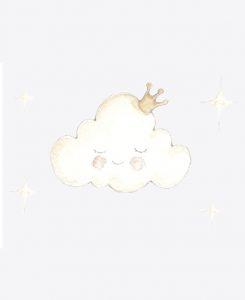 Cloud SDC VIN Nube