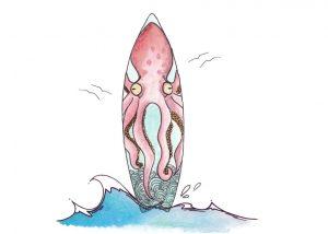 SURF PULPO
