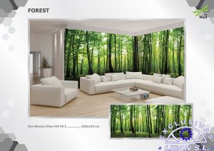 Fotomurales decorativos Bosque