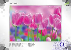 Fotomurales decorativos Tulipan Rosa
