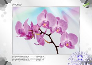 Fotomurales decorativos Orquidea