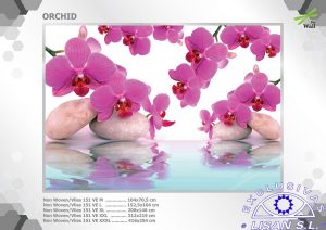 Fotomurales decorativos Orquidea 1