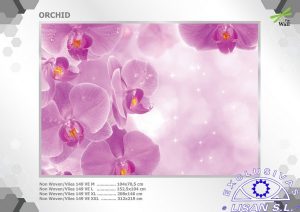 Fotomurales decorativos Orquidea 2