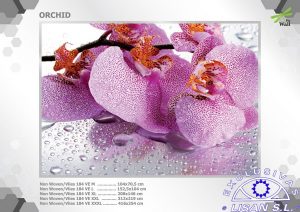 Fotomurales decorativos Orquidea 3
