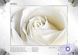 Fotomurales decorativos Rosa Blanca