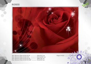 Fotomurales decorativos Rosa Roja