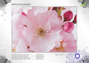 Fotomurales decorativos Flor Manzana