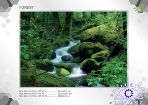 Fotomurales decorativos Bosque 1