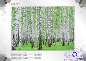 Fotomurales decorativos Bosque 2