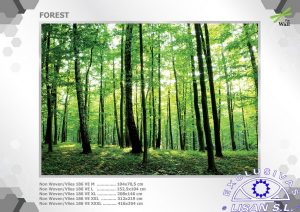 Fotomurales decorativos Bosque 3
