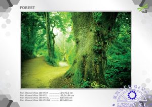 Fotomurales decorativos Bosque 4