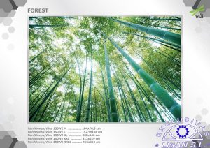 Fotomurales decorativos Bosque 6