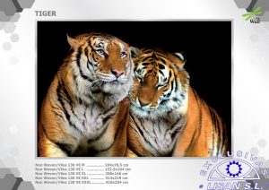 Fotomurales decorativos Tigres