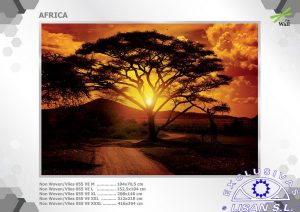 Fotomurales decorativos Africa
