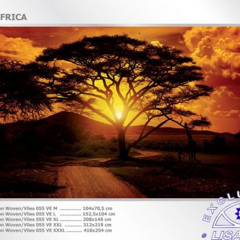 Fotomurales decorativos Africa