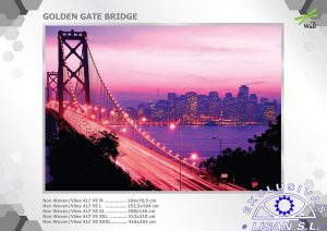 Fotomurales decorativos Golden Gate