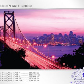 Fotomurales decorativos Golden Gate
