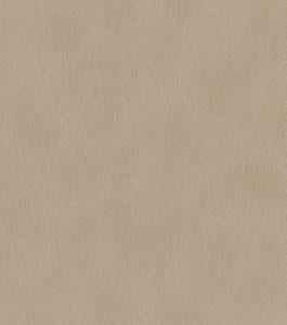 Papel Pintado Kenya 2025 Exclusivo 006