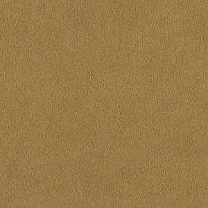 Papel Pintado Kenya 2025 Exclusivo 022