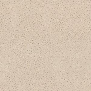 Papel Pintado Kenya 2025 Exclusivo 050