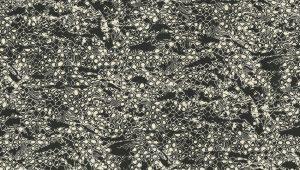 Papel Pintado Exclusivo Roberto Cavalli8 RC19036