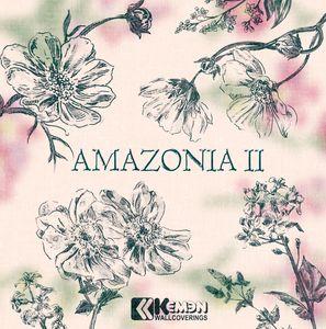Amazonia II 2026 Moderno-clasico